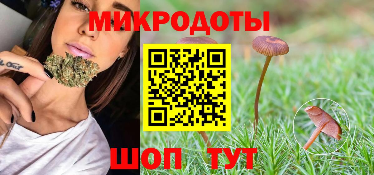 Псилоцибиновые грибы MAGIC MUSHROOMS  Вход с VPN  Елабуга 